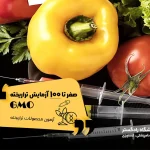 صفر تا 100 آزمایش تراریخته (GMO)   آزمون محصولات تراریخته | مجتمع آزمایشگاهی رادگستر | آزمایش تراریخته در مواد غذایی، آزمون تراریختگی در مواد غذایی، تشخیص GMO، آزمایش GMO، سویا تراریخته چیست، ذرت تراریخته چیست، تشخیص ذرت تراریخته، تشخیص میوه های تراریخته، برنج تراریخته، محصول کشاورزی تراریخته