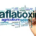 Aflatoxin word cloud 150x150