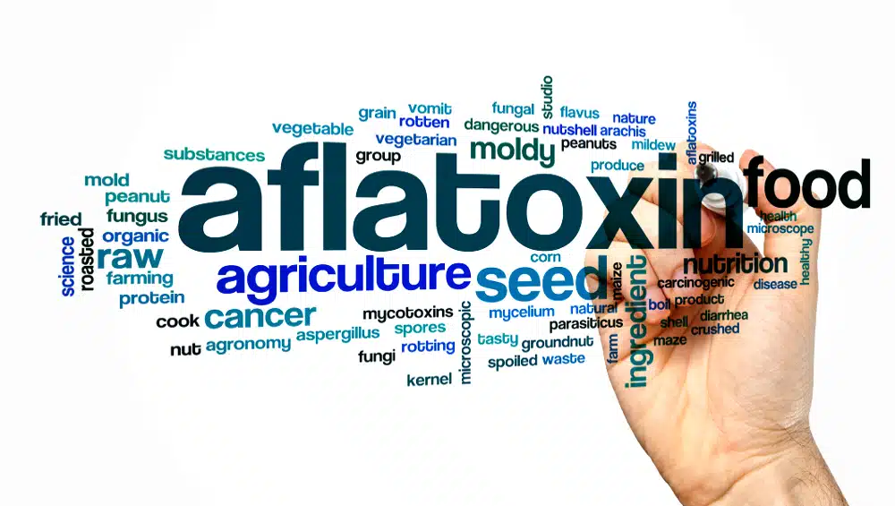 Aflatoxin word cloud