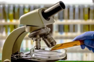 آنالیز و آزمایش عسل | آزمایشات عسل طبیعی