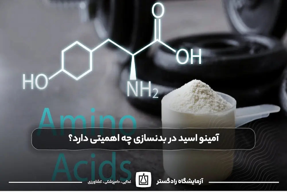 آمینو اسید در بدنسازی چه اهمیتی دارد؟ |آزمایش پروفایل اسید آمینه با دستگاه HPLC