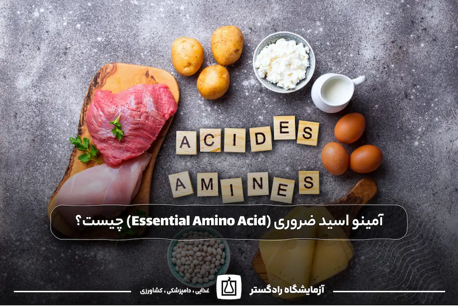 آمینو اسید ضروری (Essential Amino Acid) چیست؟ | آزمایش پروفایل اسید آمینه با دستگاه HPLC