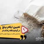 تعیین ارقام برنج در آزمایشگاه رادگستر – ⛔️تشخیص تقلب در برنج از ایرانی تا خارجی | آزمایش برنج در آزمایشگاه | کنترل کیفیت برنج ایرانی | آزمایشات میکروبی برنج | تشخیص برنج تقلبی در آزمایشگاه راد گستر | تست اصالت برنج