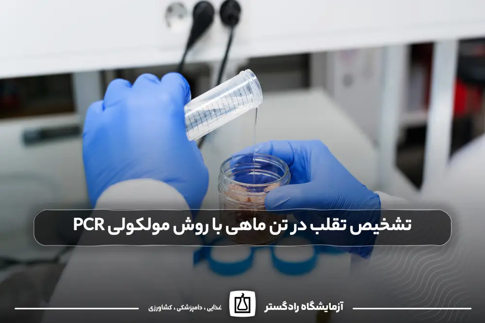 تشخیص تقلب در تن ماهی با روش مولکولی PCR